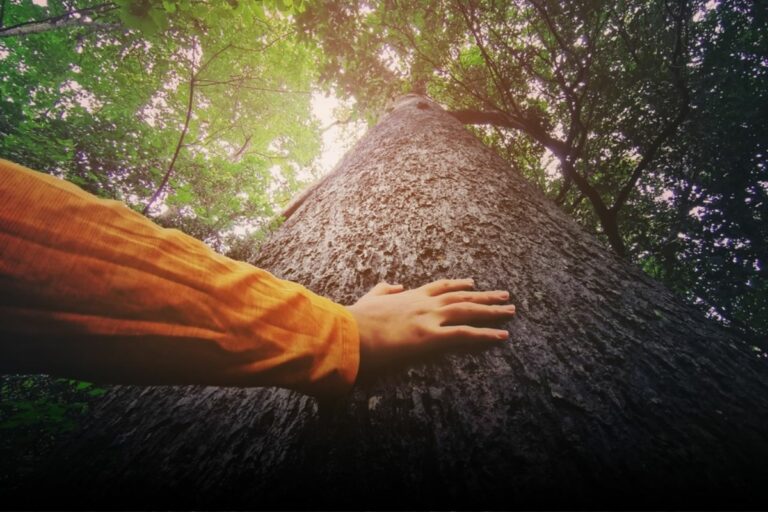 conexão com a natureza