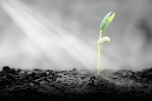 resiliência emocional