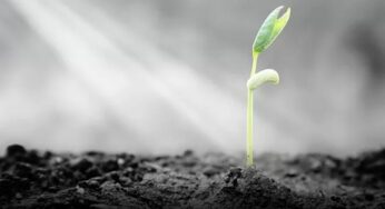 Resiliência Emocional: Como Desenvolver